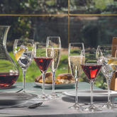Lenny Wine Glass Set of 6